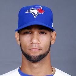 Lourdes Gurriel Jr.