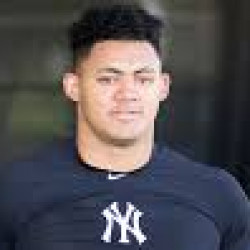 Jasson Dominguez