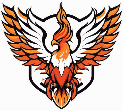 *Arizona Cardinals 4 Logo