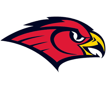 Bird of Prey Logo