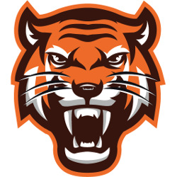 Dylan Tigers Logo
