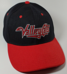 Valleycats Logo