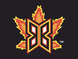 Bakersfield Blaze Logo