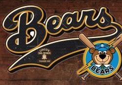 Bears Logo
