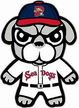 Sea Dogs Logo