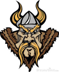 Vikings Logo