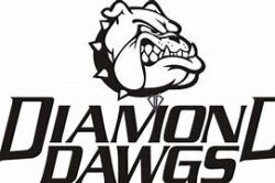 Diamond Dawgs Logo