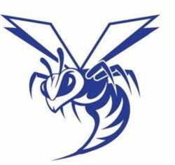 Hornets85 Logo