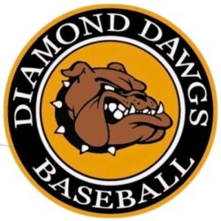 DIAMOND DAWGS Logo
