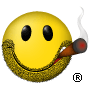 Smokin' Stogies Logo