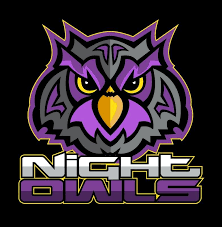 Night Owls Logo