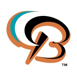 Basox B Logo