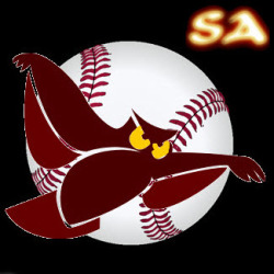 SA Night Owls Logo