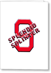 Splendid Splinter Logo