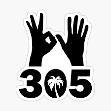 305 BEACH BOYZ Logo