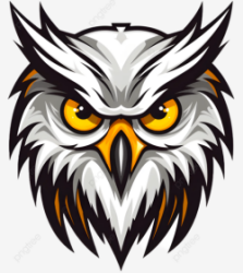 Angry Owls Logo