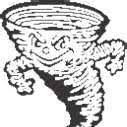 Psyclones Logo