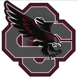 CC Red Hawks Logo