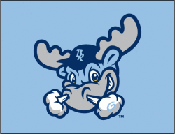 Wilmington Blue Rocks Logo