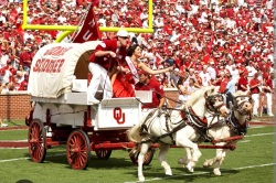 Boomer Sooner Logo