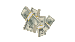 Show Me The Money! Logo