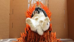 House of Bunnies Logo