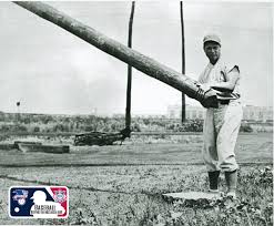 Big Stick Jimmy Logo