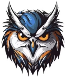 Angry Owls Logo