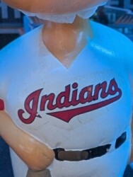 Indians not Guardians Logo