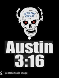 Austin 316 Logo