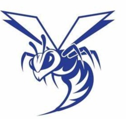 Hornets1 Logo