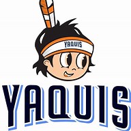YAQUIS4 Logo