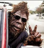 Svelte Sasquatch II Logo