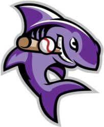 Sharks Logo