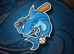 Shark Attack NL Logo