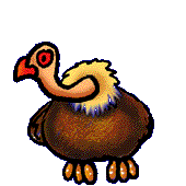 Birds of a Feather Logo