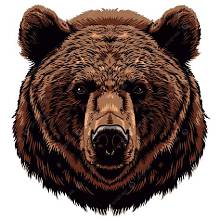 Bear III Logo
