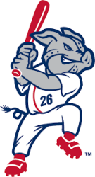 Iron Pigs Logo