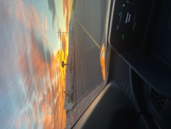 Night Draft Action Logo