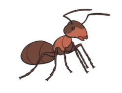 ANT Go Marching 🐜 Logo
