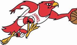 Ball Hawks Logo