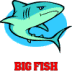 RJ FISHER DRYWALL Logo