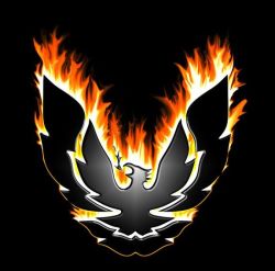 Firebirds Logo