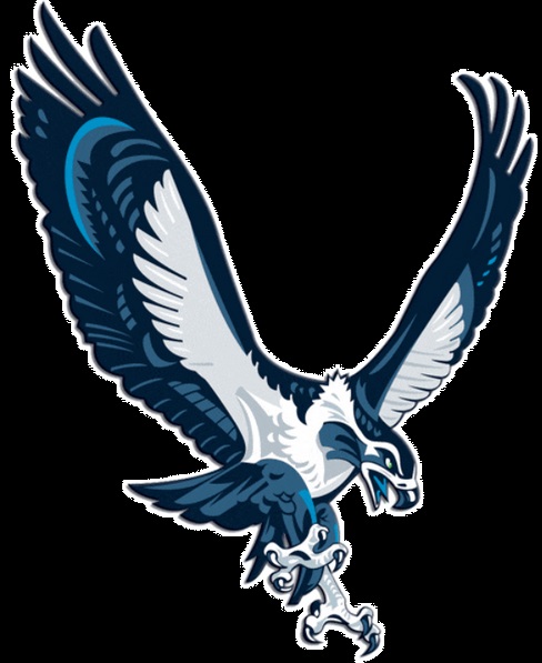 Sober Birds Logo