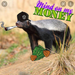 Money Badgers Logo