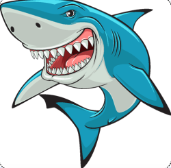 Shark Bait-2 Logo