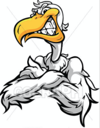 Pelican Nation Logo