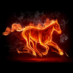 Stallions-2 Logo