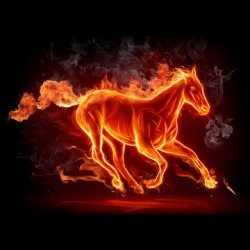 Stallions-3 Logo