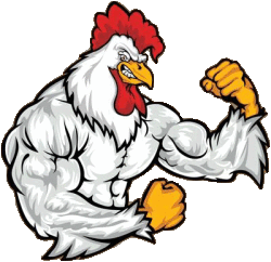 Eastern Suburbs Roosters Logo